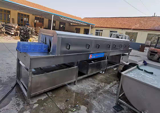 1616833084698652.jpg 2.jpg